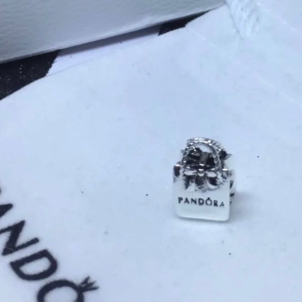 PANDORA CHARM - Picture 6 of 12
